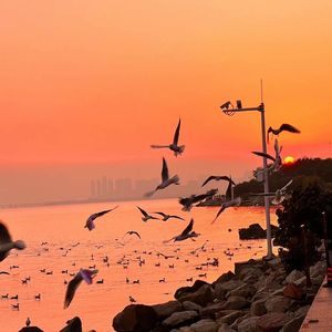 把🍌伸进女人的🍑洗澡动漫
